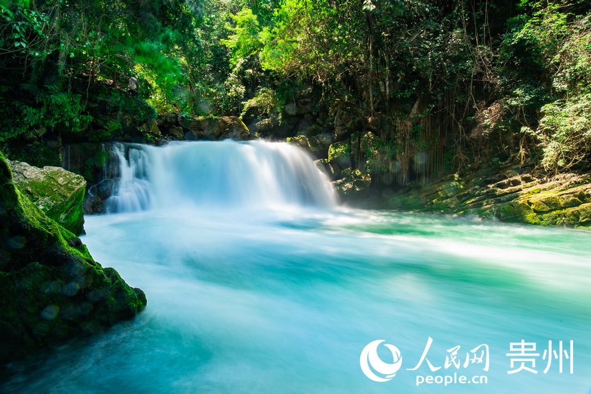 貴州茂蘭國家級自然保護區內的溪流。人民網 涂敏攝