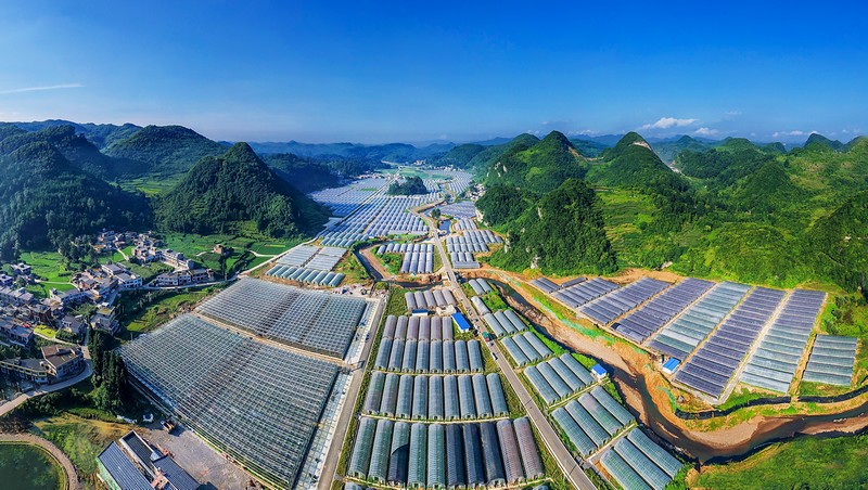 織金縣馬場鎮現代農業產業園。畢節市委宣傳部供圖