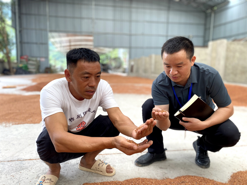 監督靠前 營造好“糧”風。
