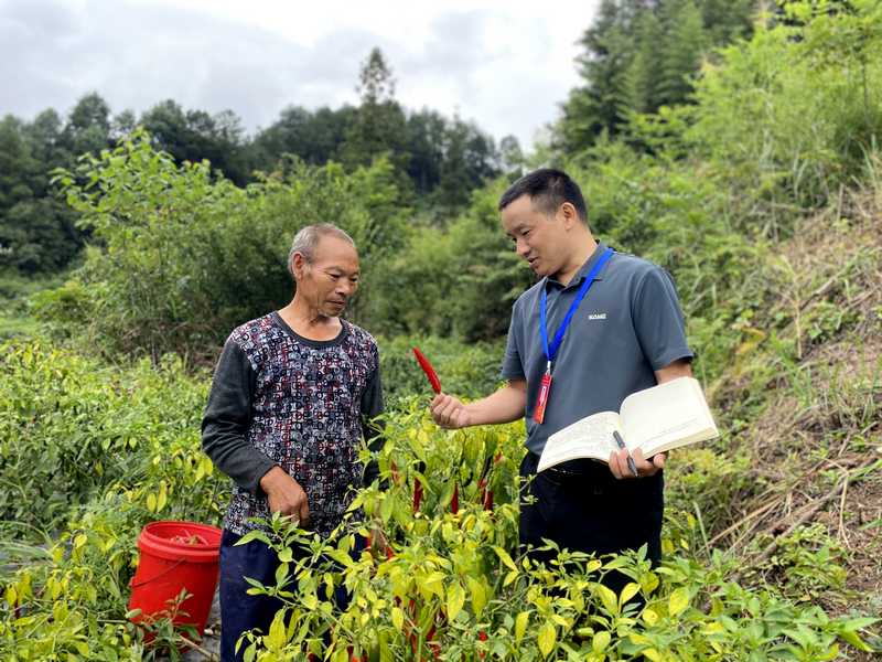 監督靠前 營造好“糧”風。