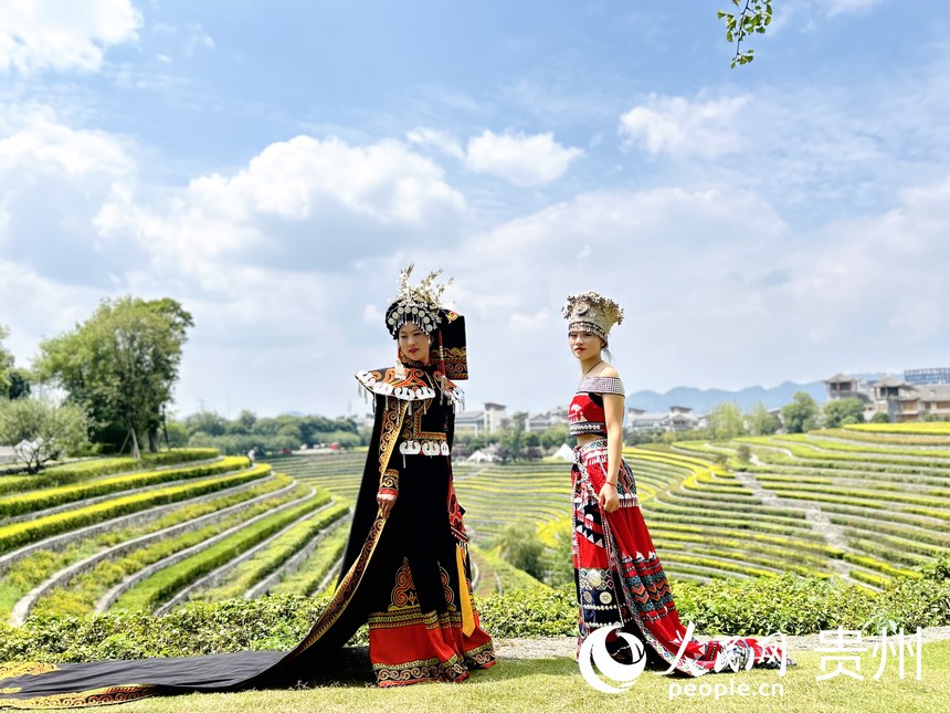 “城中花海梯田”，吸引了眾多游客前來觀賞打卡。人民網 敖嘉鈺攝 