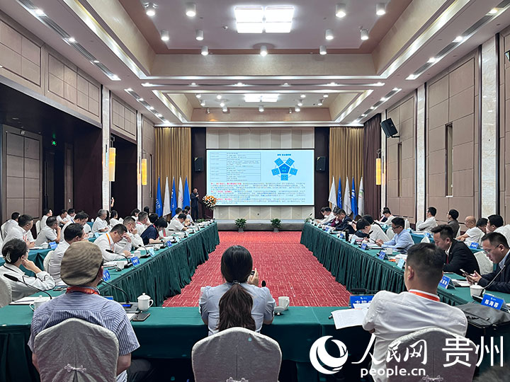 貴州省康養產業招商引才座談會現場。人民網 陳潔泉攝