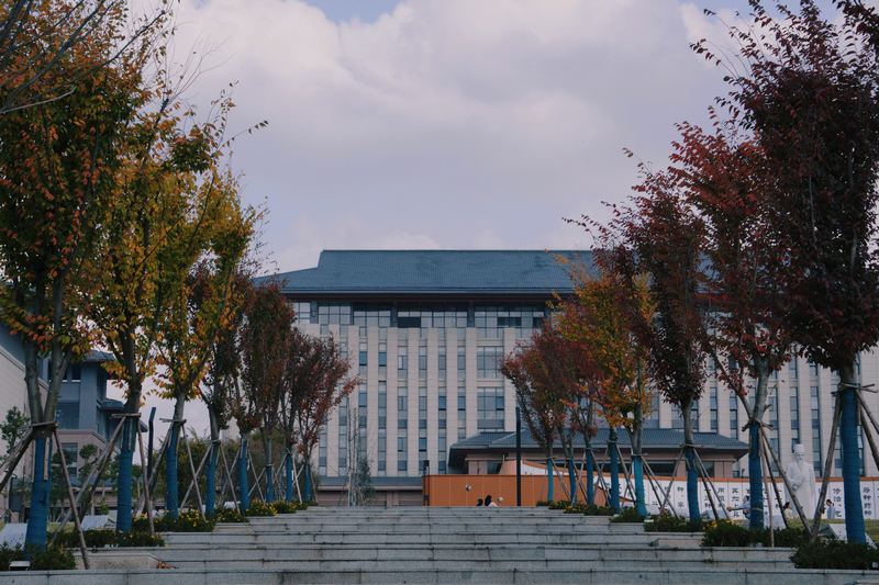 校園環境。趙爽攝