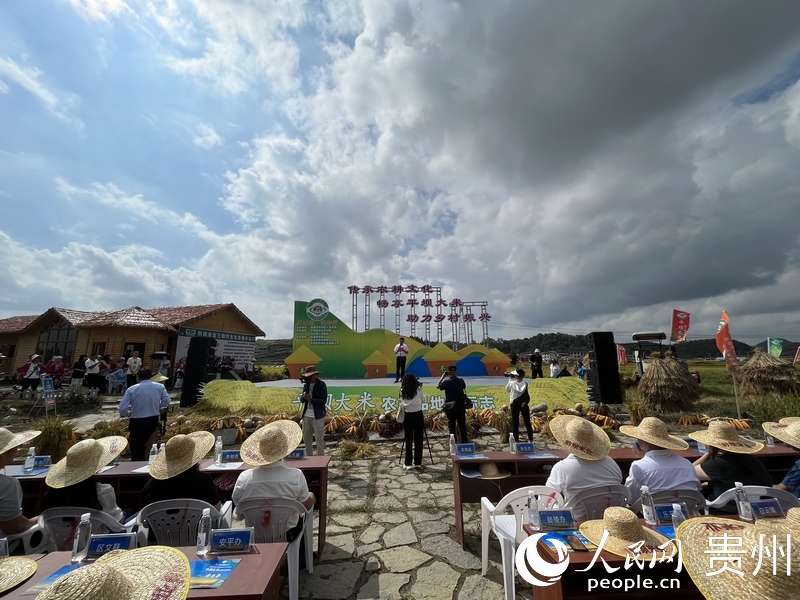 活動現場。人民網記者 高華攝