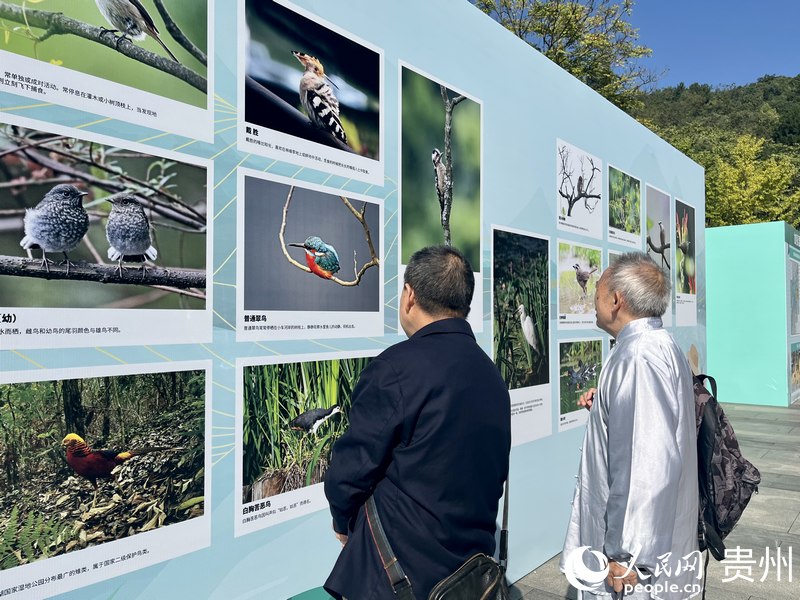 市民觀看生物多樣性主題攝影展。人民網 李麗萍攝