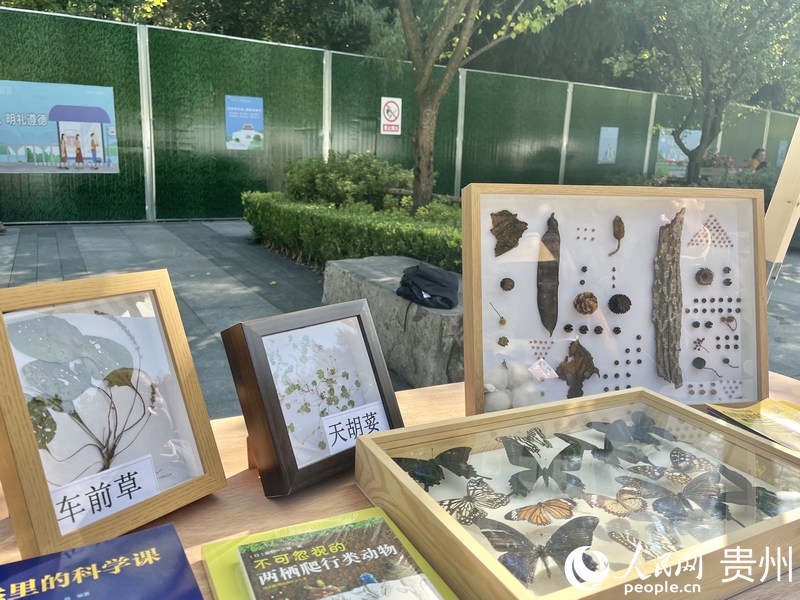 自然市集上的展品。人民網 李麗萍攝