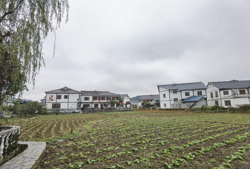 花茂村風光。魏容 攝