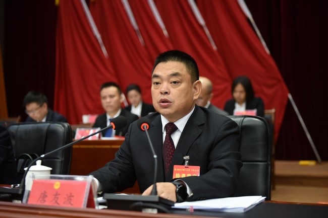 唐友波發言。