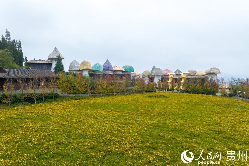 航拍貴州省黔西南州興義市陽光谷旅游度假區。人民網記者 涂敏攝