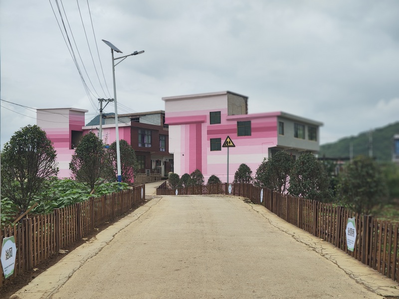 衛城鎮犀牛村新中組宜居農房建設示范點整潔的村道。田勇 攝.jpg