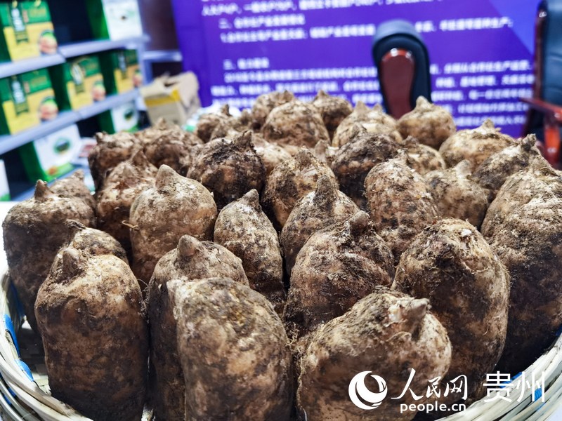 大方天麻。人民網 王秀芳攝