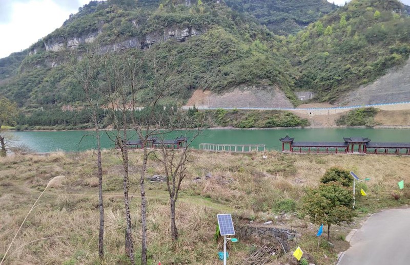 巡察前雜草叢生的荒地。