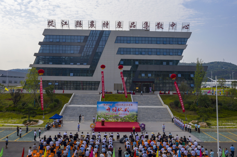 2023年從江縣百香果開園現場。吳德軍攝