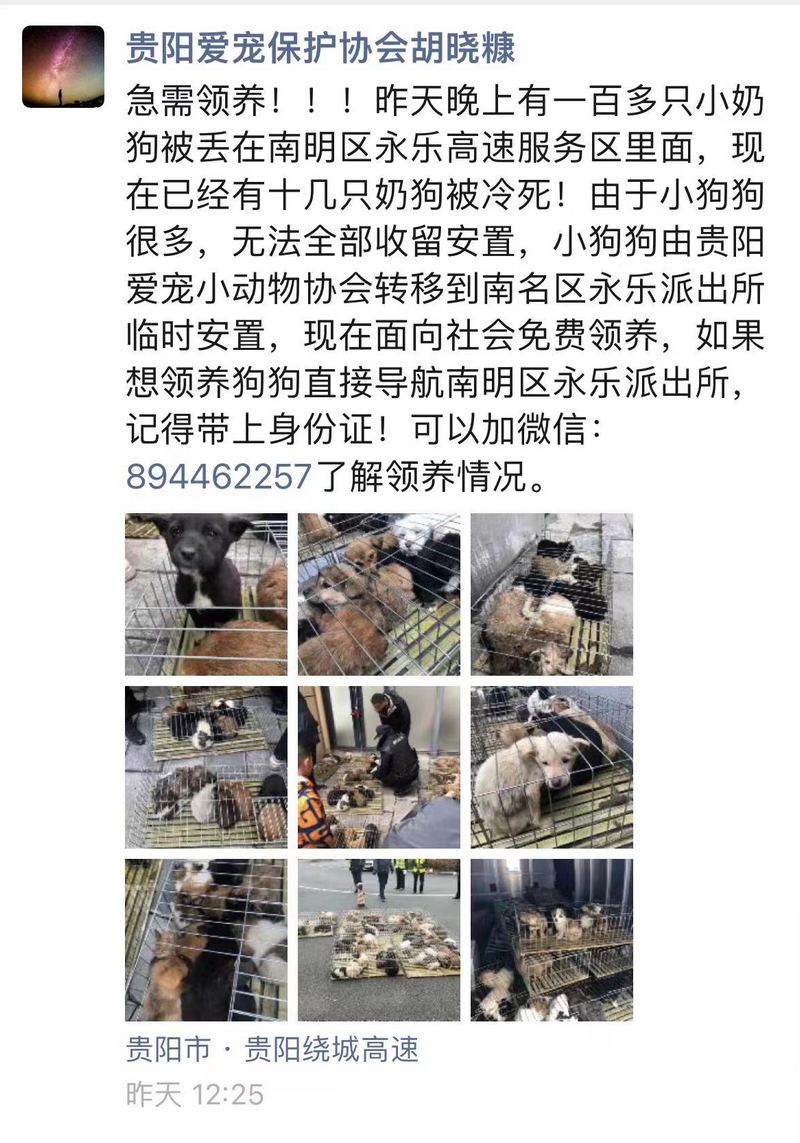 朋友圈“救助消息”截圖。