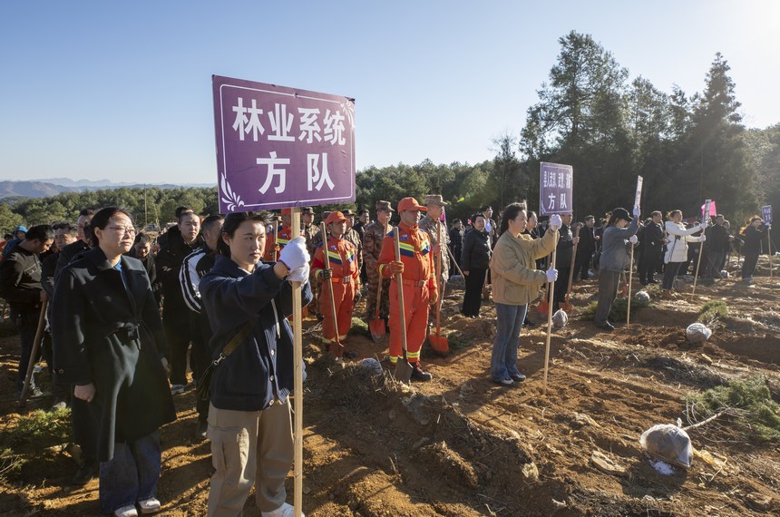 義務植樹活動現場。李學友攝
