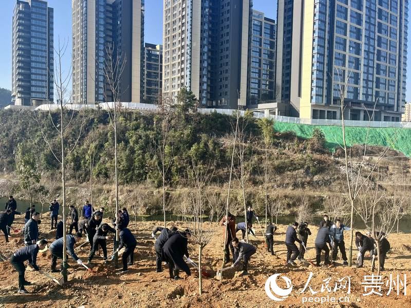 植樹現場氣氛熱烈。人民網 李麗萍攝