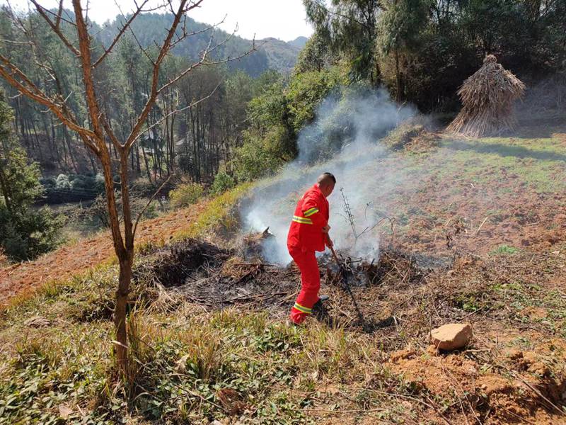 圖為：護林員處置火情