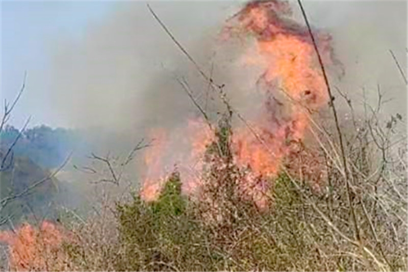圖為饒某某在開陽縣龍崗鎮龍崗二村梨坡組石牛山燃放鞭炮引發山火 (3).jpg