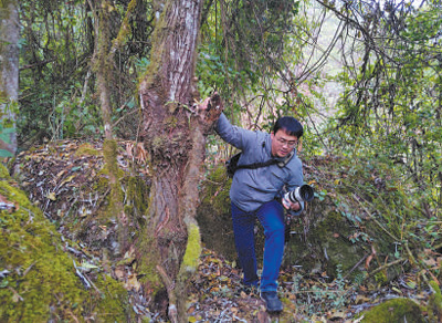 圖為徐馭堯在密林中穿行。