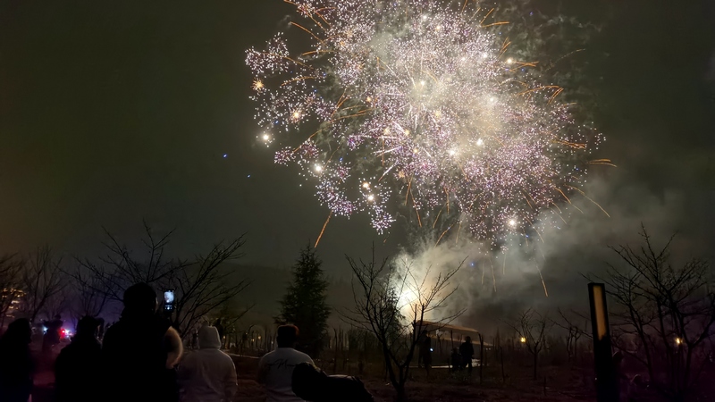 璀璨的煙花在天空依次綻放 查姜維 攝.jpeg