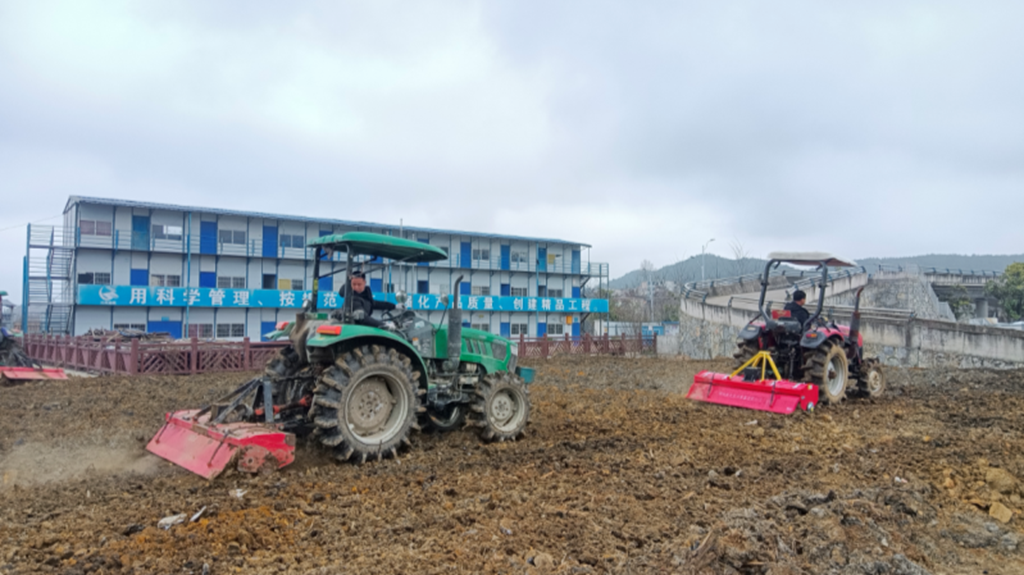 修文縣目前有遠澤、春海兩家農機服務農民專業合作社專門從事耕、種、收全程農機服務 修文縣融媒體中心姜繼恒 攝