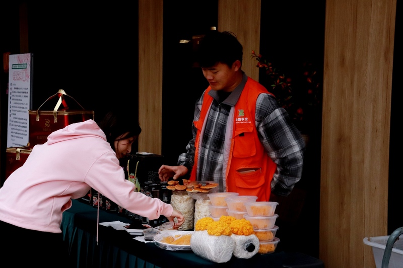 (5)櫻花集市上游客在了解展銷商品(楊洪金攝) (3).jpg