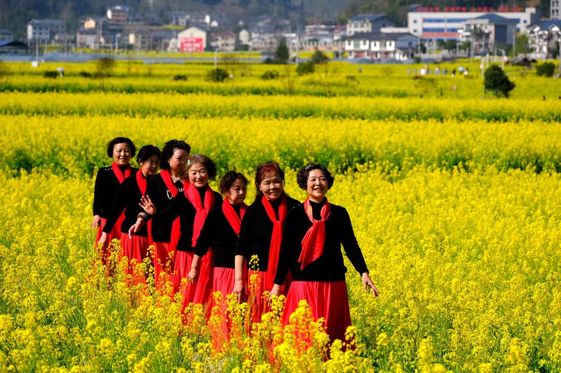 6、游客在油菜花田間游玩.。李珊珊 攝..JPG
