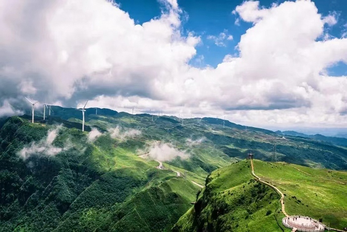 3 柏能新能源與六盤水攜手開發全域林業碳匯項目.jpg