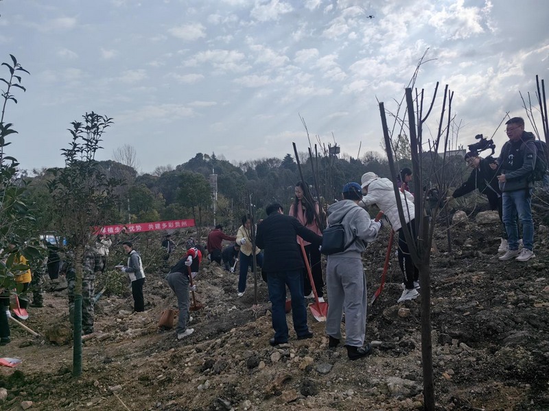 貴陽市花溪區義務植樹活動現場。貴州省林業局供圖.jpg