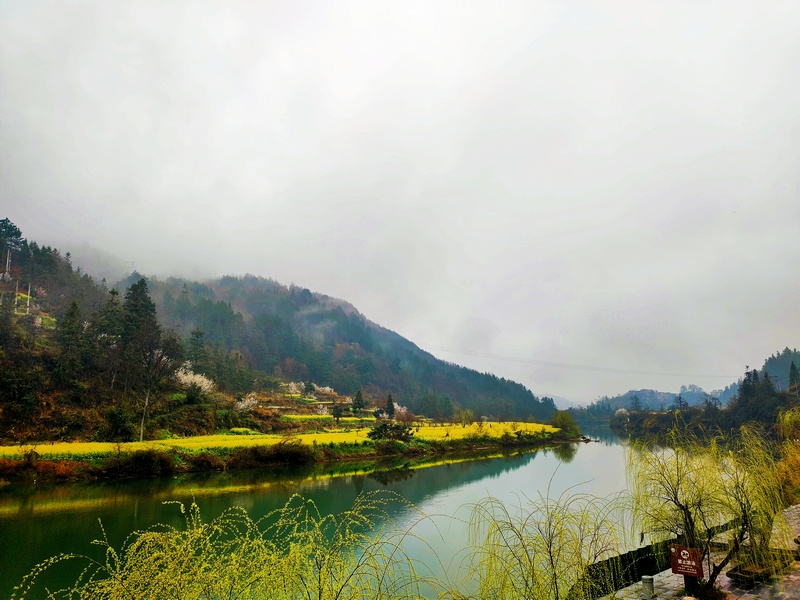 06 老屯鄉巴拉河畔油菜花田 熊慶來攝.jpg