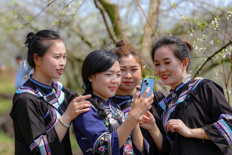 2024年3月12日，游客在貴州省黔南布依族苗族自治州羅甸縣羅悃鎮李子基地賞花、拍照。