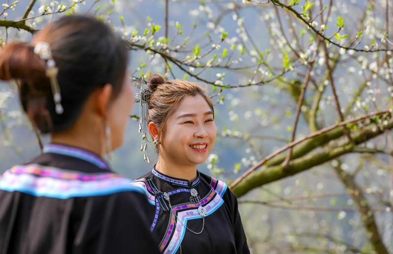 2024年3月12日，游客在貴州省黔南布依族苗族自治州羅甸縣羅悃鎮李子基地賞花、拍照。