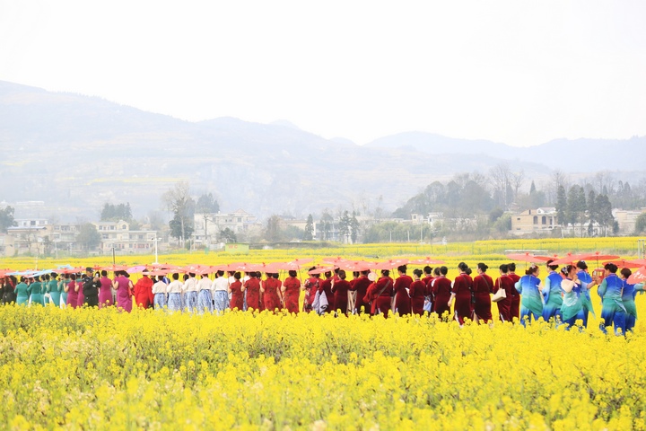 昊禹油菜花走秀。