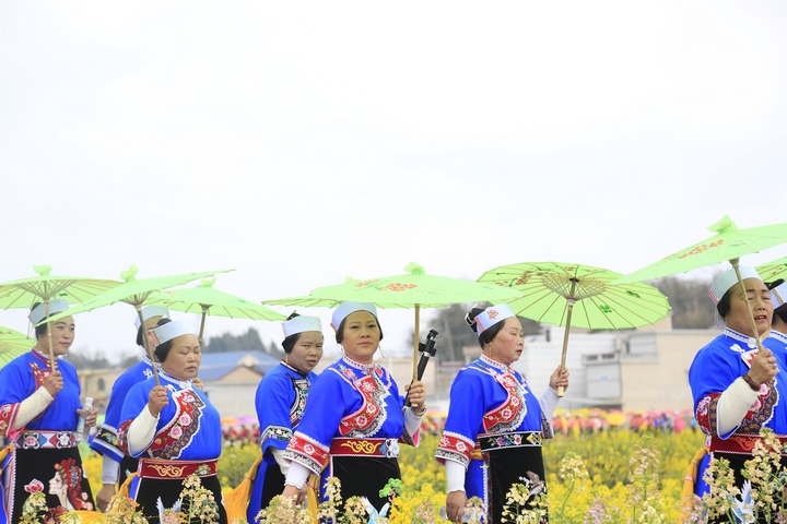昊禹油菜花走秀。