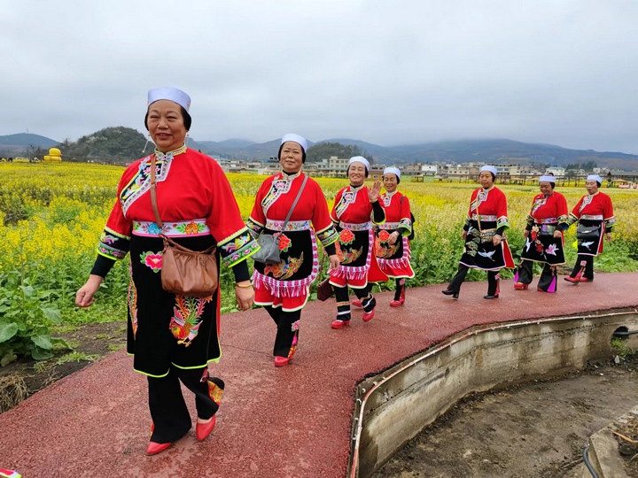 昊禹油菜花走秀。