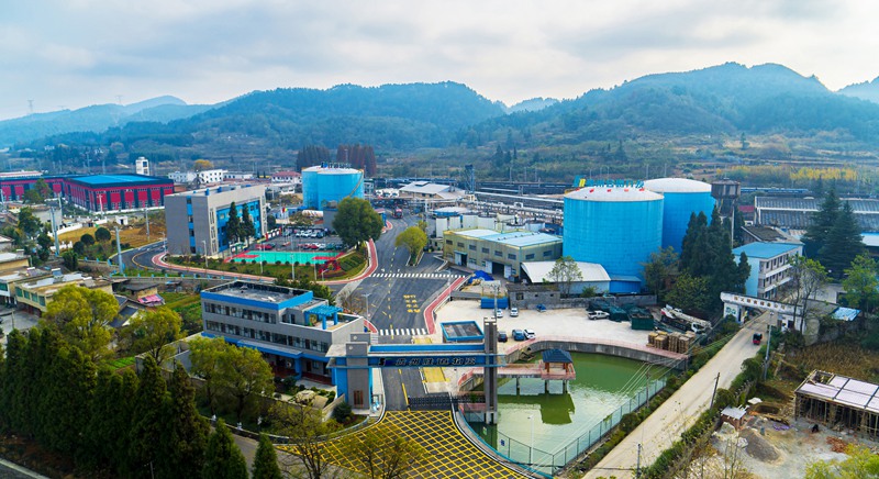 勝道公司全景。