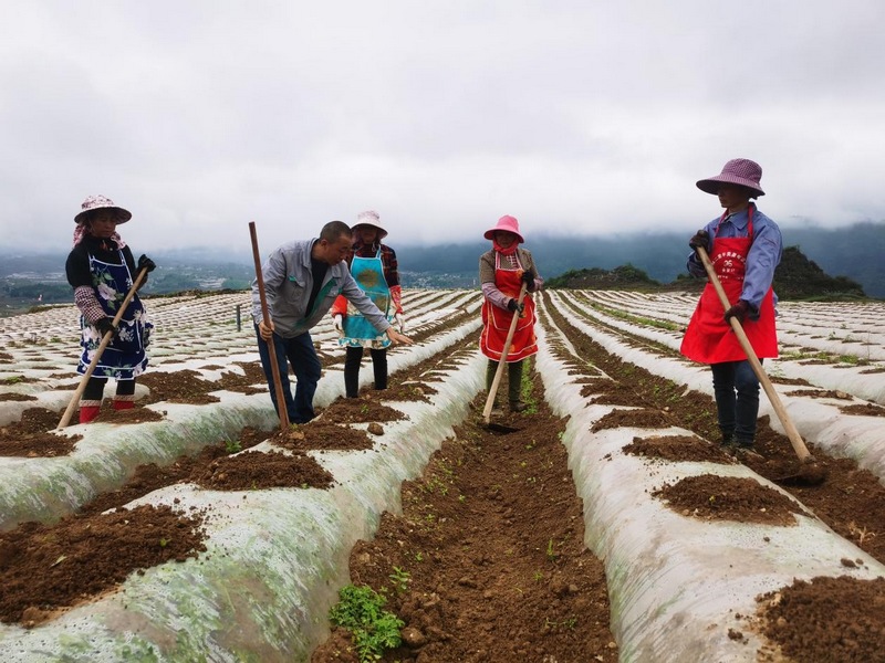 云端課堂讓基層一線工作人員學習工作兩不誤。