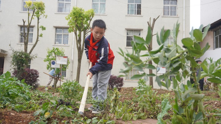 讓勞動教育在校園里“生根”。