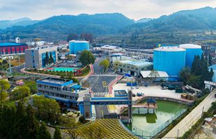 勝道公司：“四個堅持”為高質量發展注入強勁動能