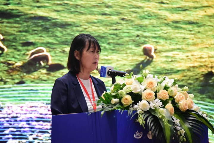 貴州省文化和旅游廳黨組成員、副廳長李芳講話。