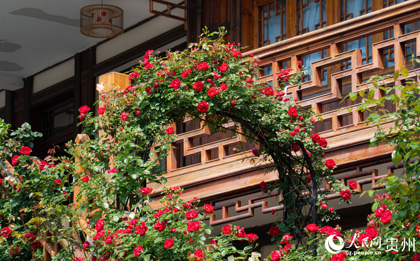 村落中隱藏著許多具有特色的民宿。人民網 陽茜攝