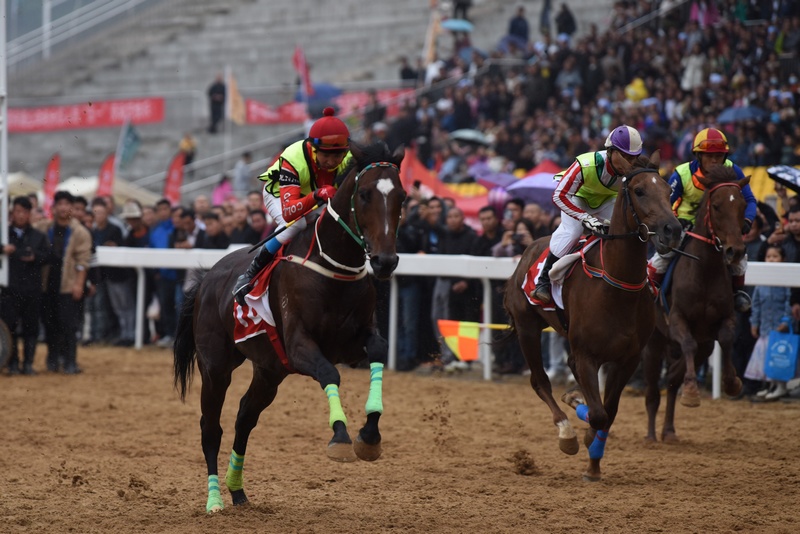 俊馬飛馳 (2).jpg