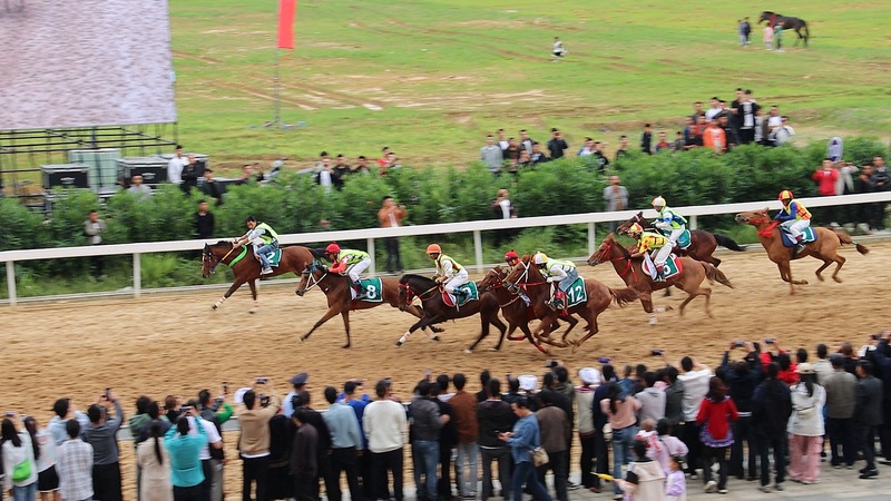 賽場上你追我趕 (3).jpg