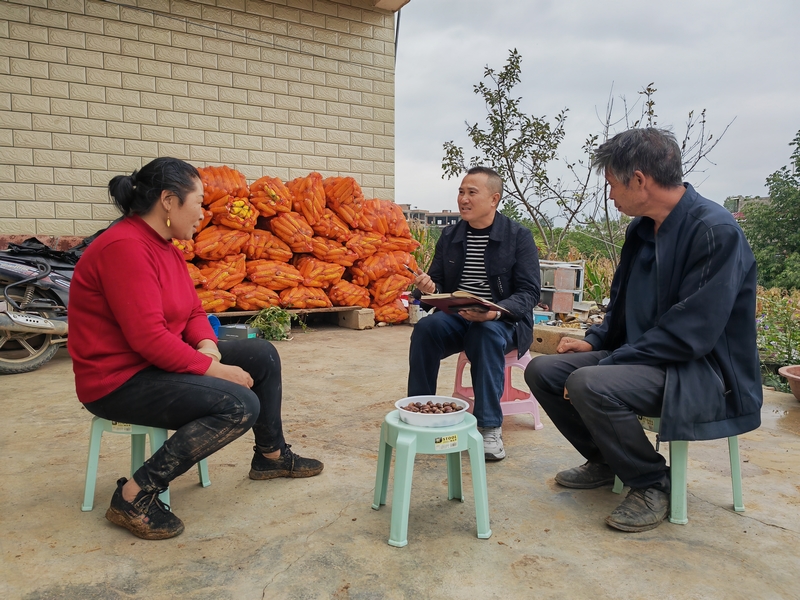 馬敏江（中）為村民馬二米宣傳煙葉生產政策。陳嬌攝