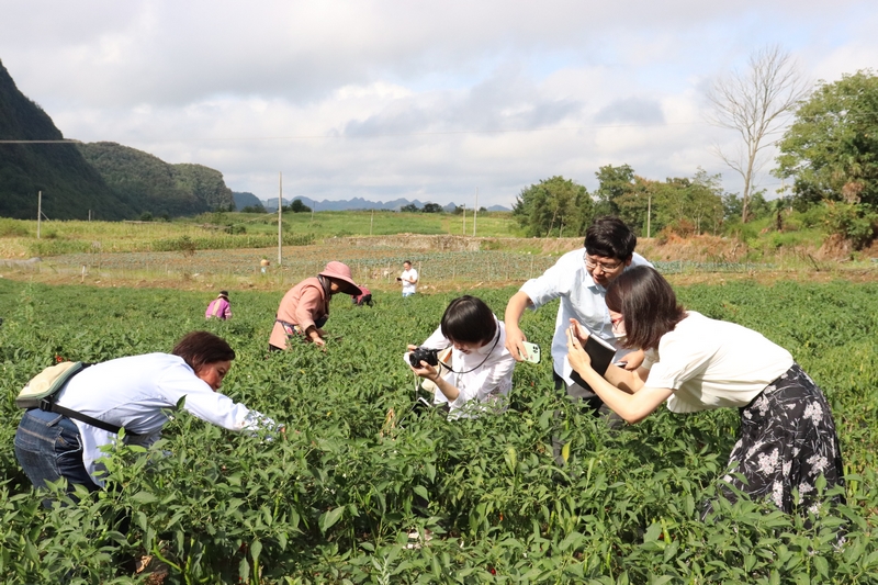 邀請中央、省級媒體記者組建采訪組到畢節市開展老干部工作新聞媒體集中采訪周活動。