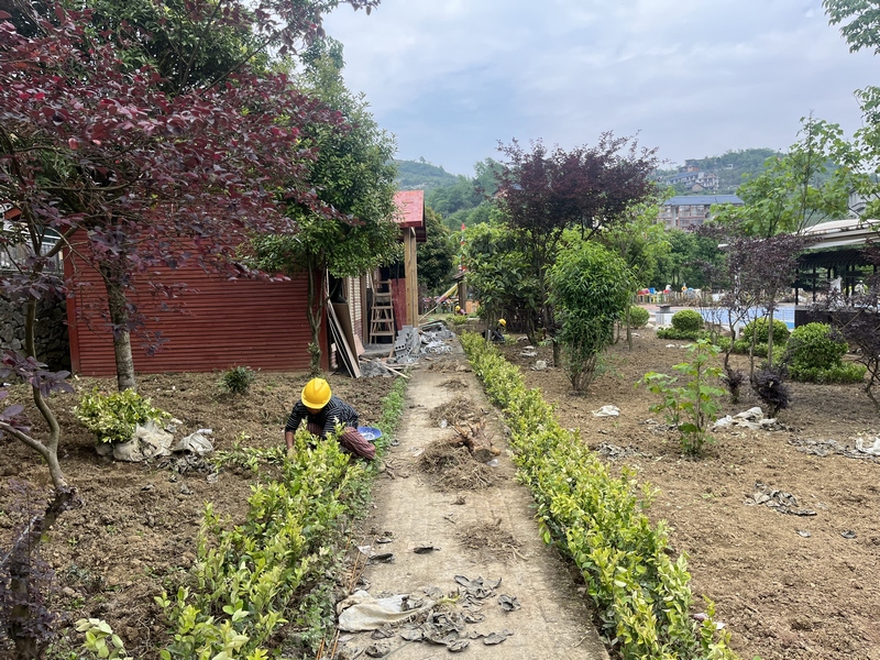 3、戶外綠化打造。