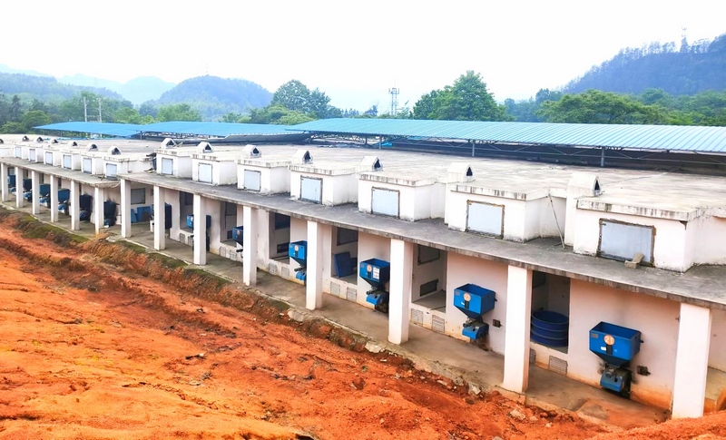 生物質烤房群。楊思琦攝