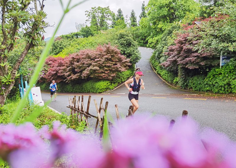 8、跑者經過杉坪景區。 趙軍 攝.