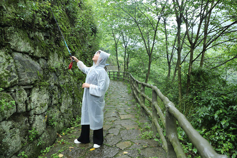 圖為守屯人巡查。顧蘭云攝