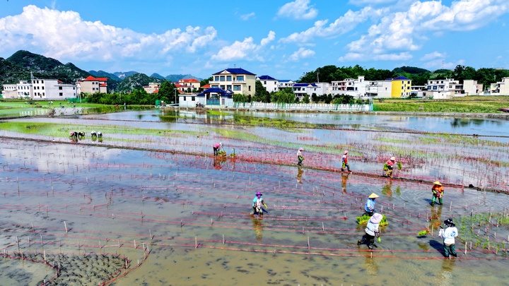 昊禹?稻花鄉里。